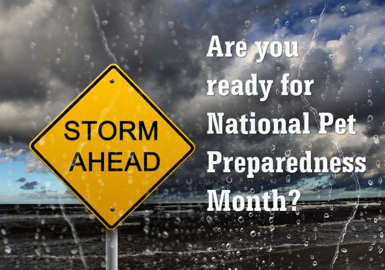 June is National Pet Preparedness Month