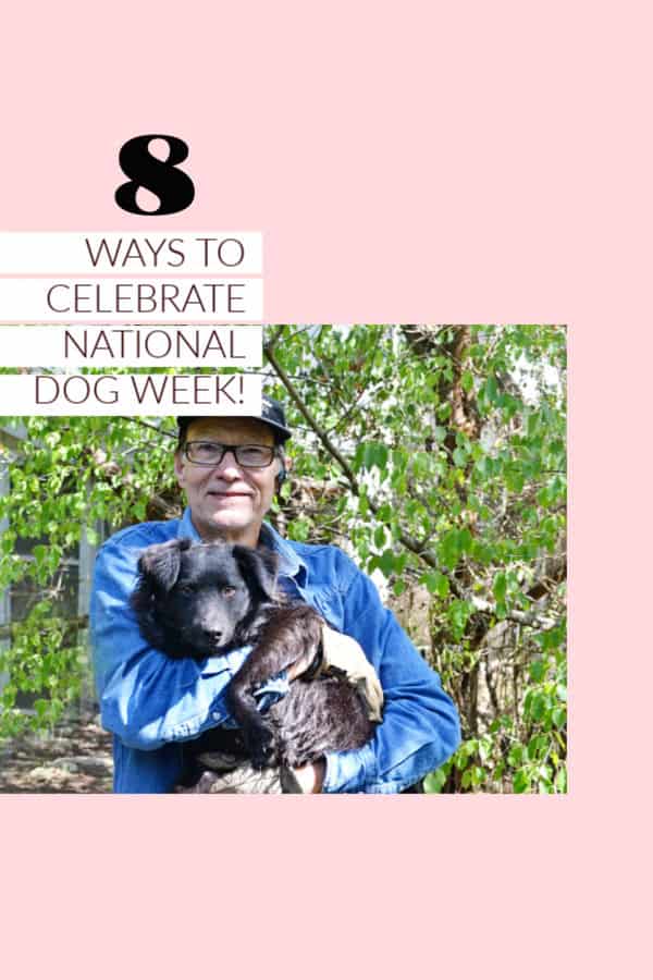 ways to celebrate national dog week