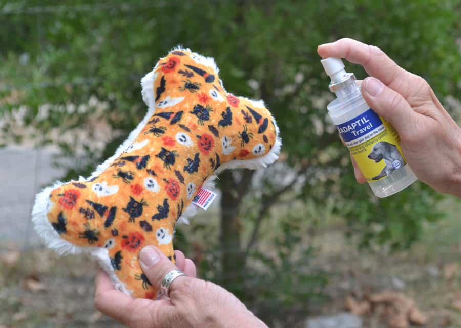 spraying Adaptil to keep dog calm