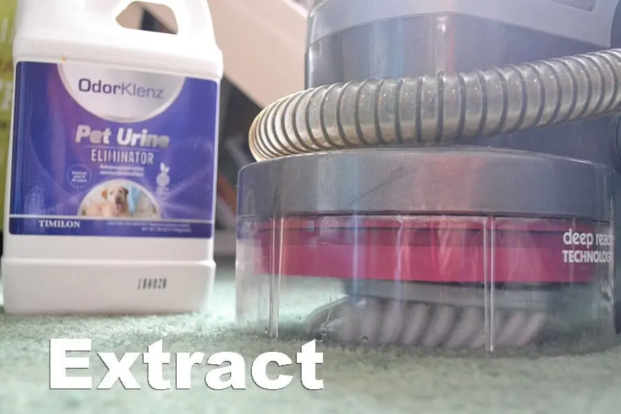 using a pet odor eliminator with an extractor