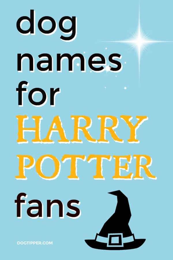 harry potter dog names