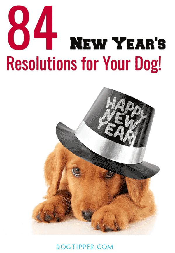 84 New Year's Resolutions for Your Dog! 