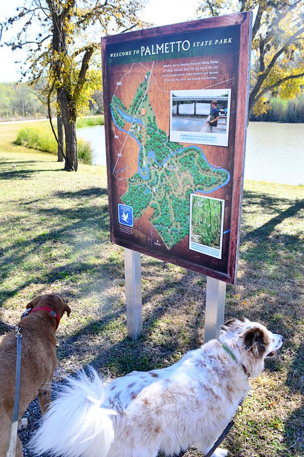 are dogs allowed in state parks in texas