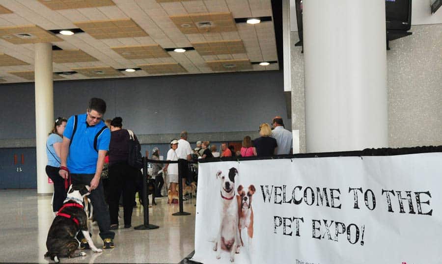 taking dog to pet expo