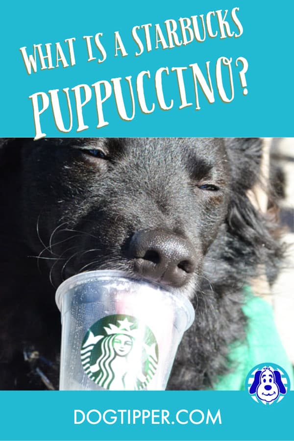 Puppuccino dog treat from Starbucks