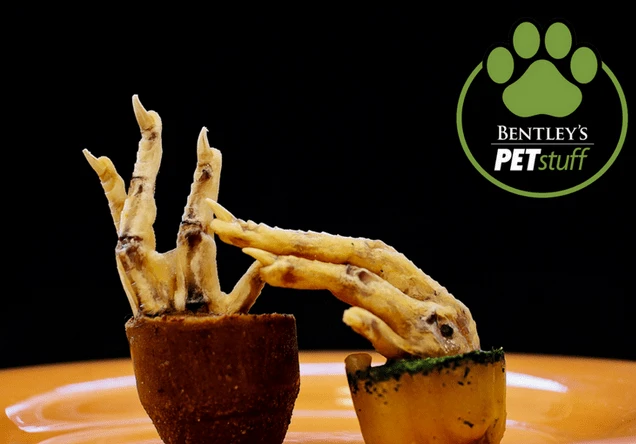 Chicken foot frozen dog treat