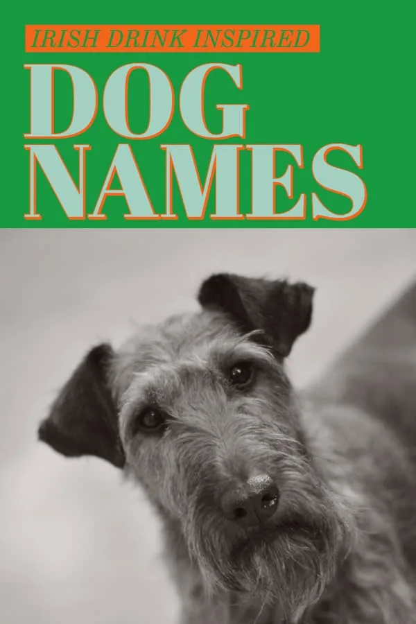 Irish Drink Dog Names