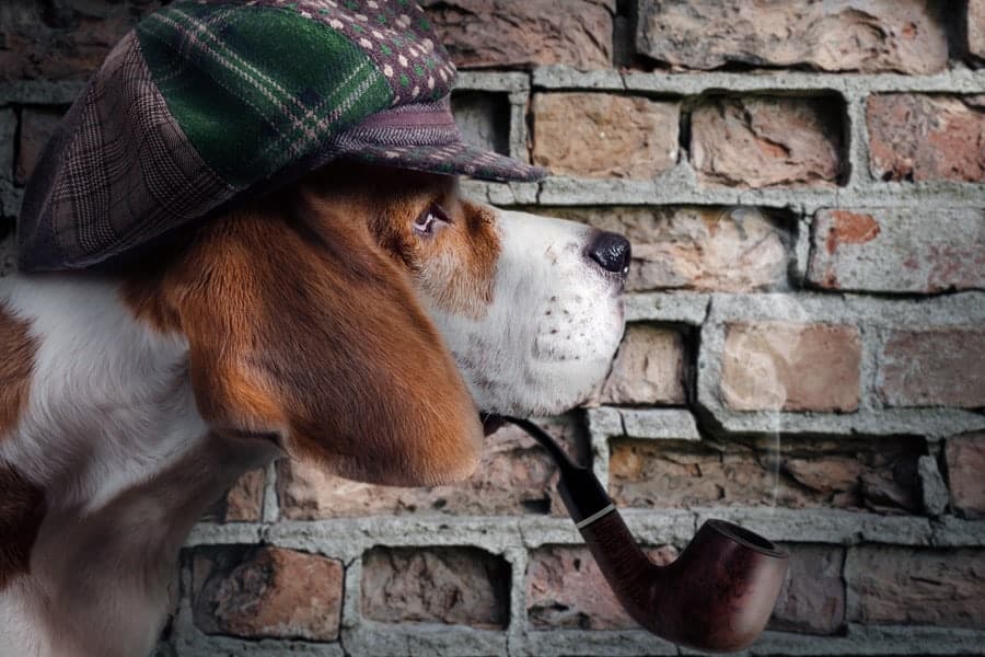 Sherlock Holmes Hat For Dogs Sale, 59 