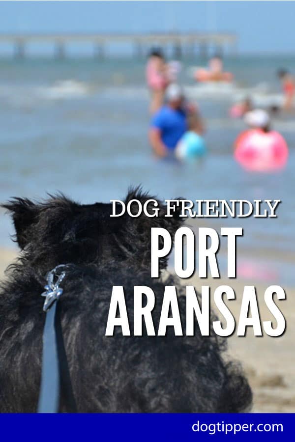 dog friendly port aransas texas