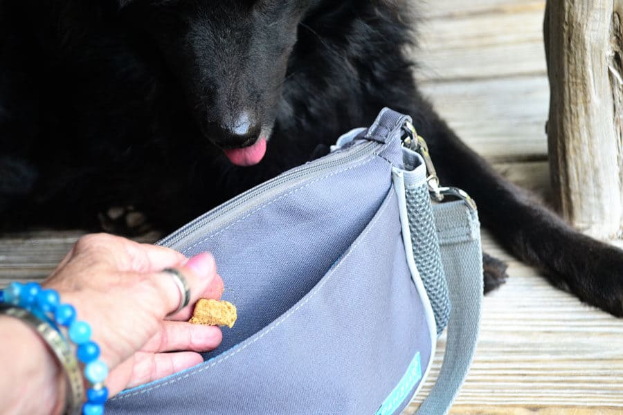 treat bag - dog walking bag