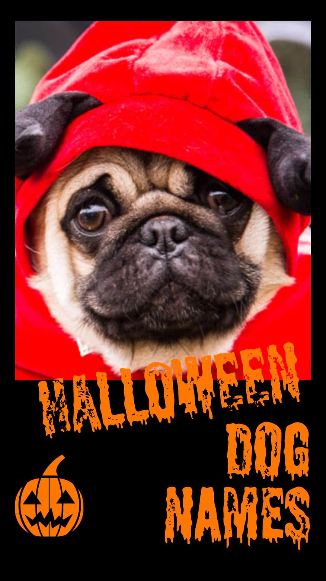 180 Halloween Dog Names A Monster List Of Names For Your Fur Baby 180 180-halloween-dog-names-a-monster-list-of-names-for-your-fur-baby-180