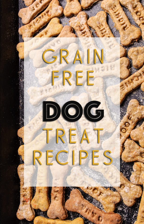 grain free dog treat recipes