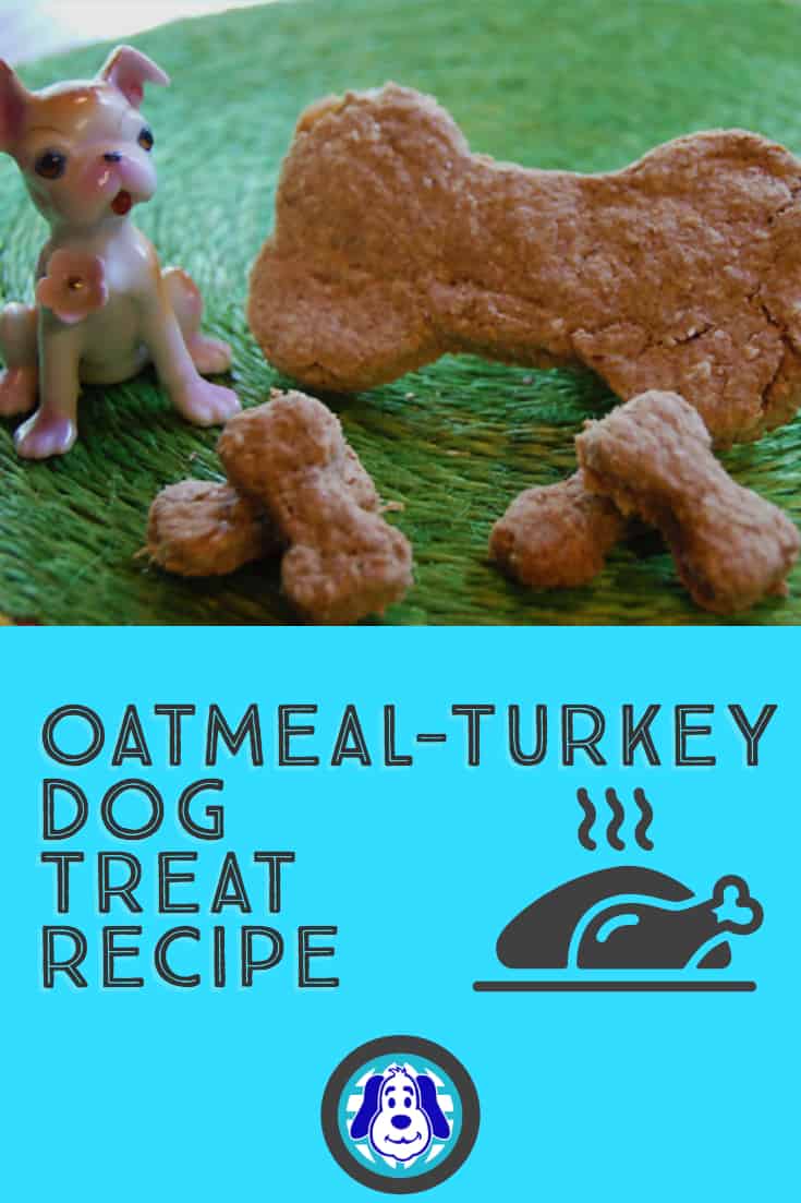 Oatmeal and turkey dog treat recipe