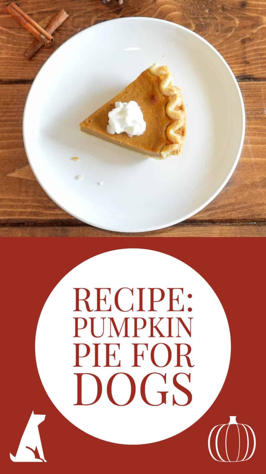 recipe for pumpkin pie for dogs