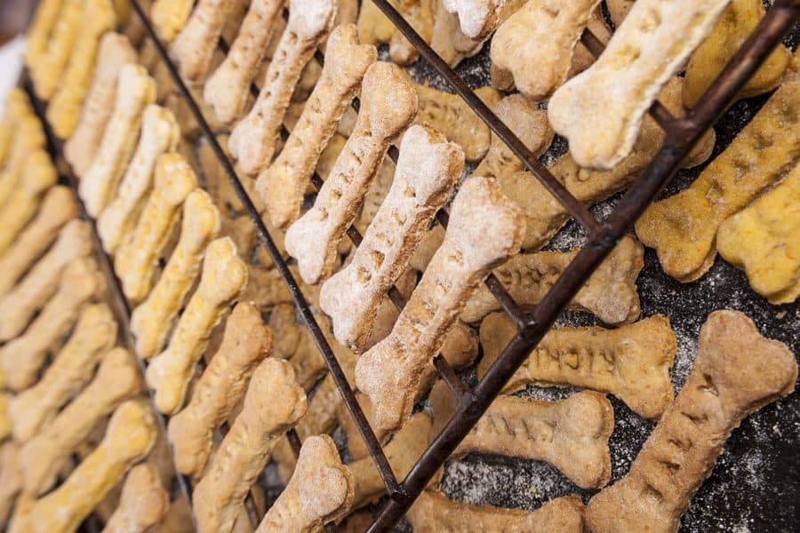 Grain Free Dog Treat Recipes: 5 Easy 