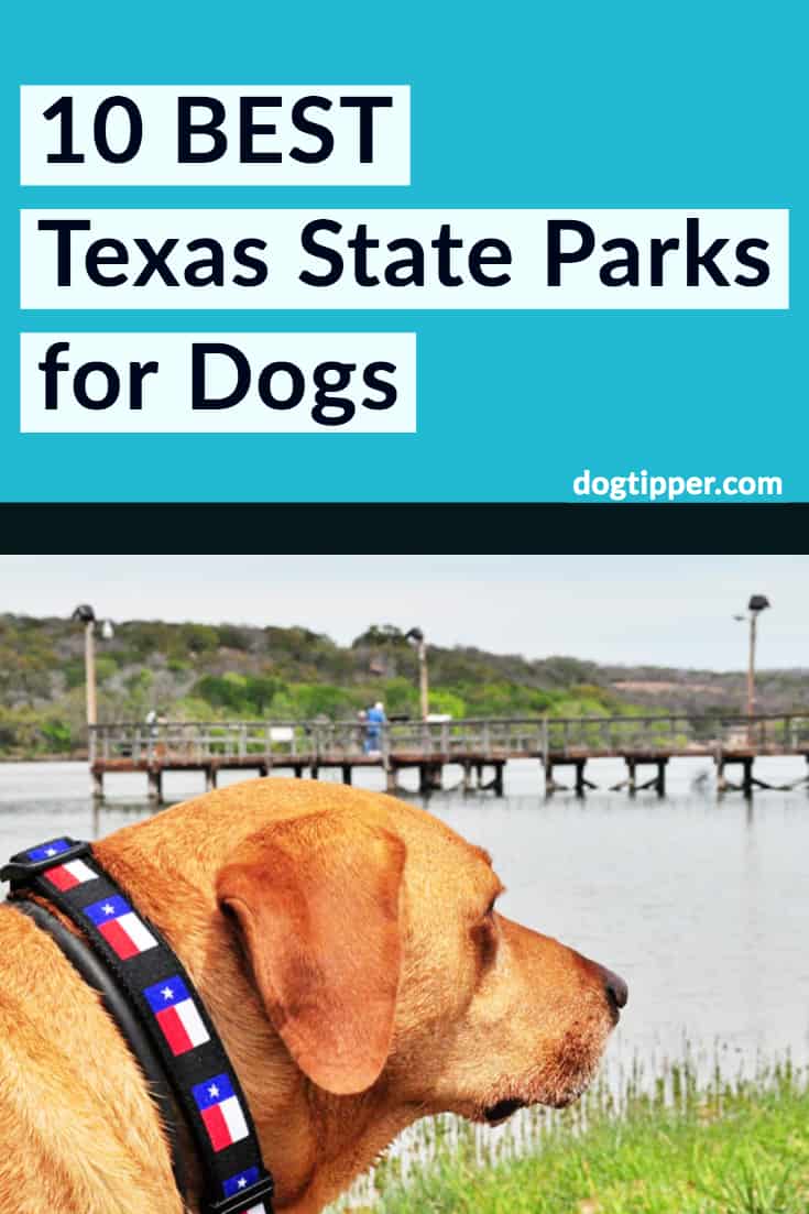 10 best texas state parks for dogs