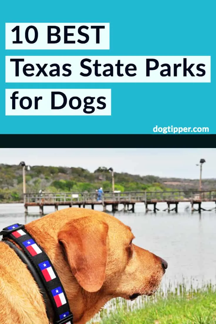 are dogs allowed in state parks in texas