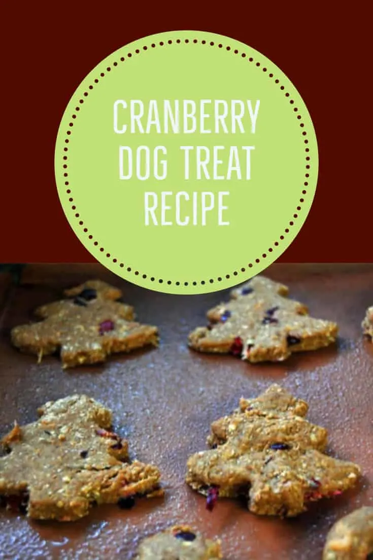 cranberry dog treat recipe