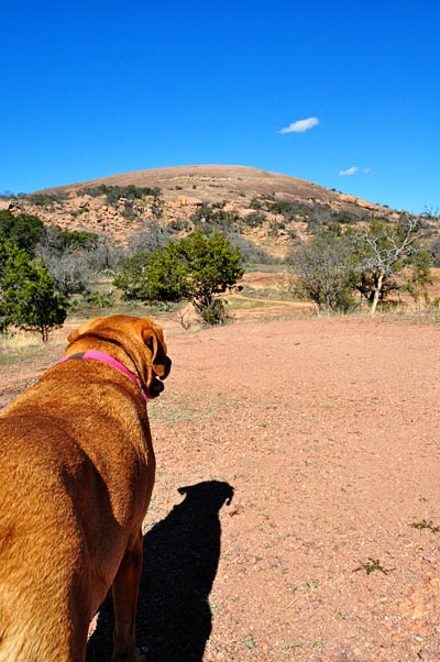 dog friendly enchanted rock state park texas