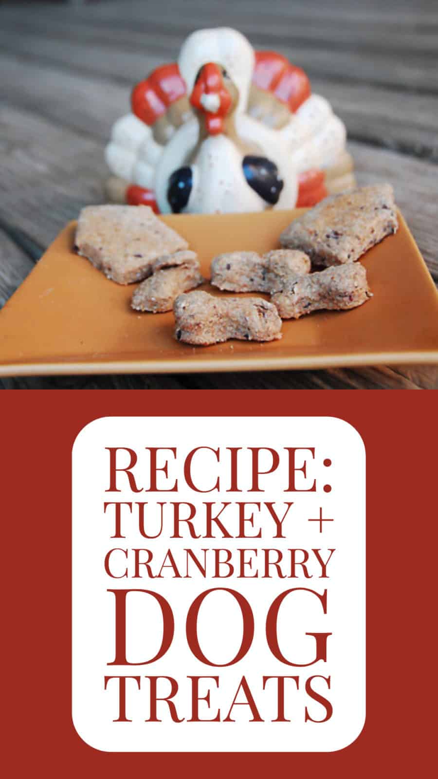 How to Make Turkey and Cranberry Dog Treats