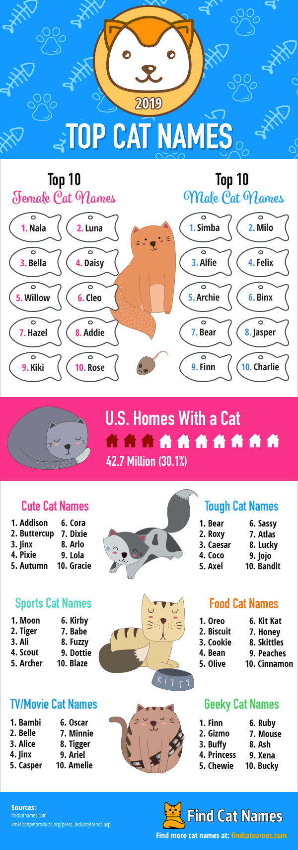Top cat names of 2019