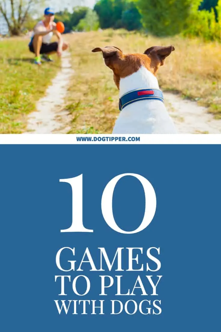 10 OUTDOOR GAMES YOUR DOG WILL LOVE - Farm To Pet