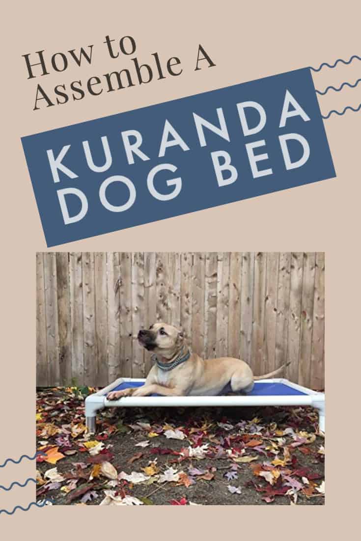 How to Assemble a Kuranda Dog Bed