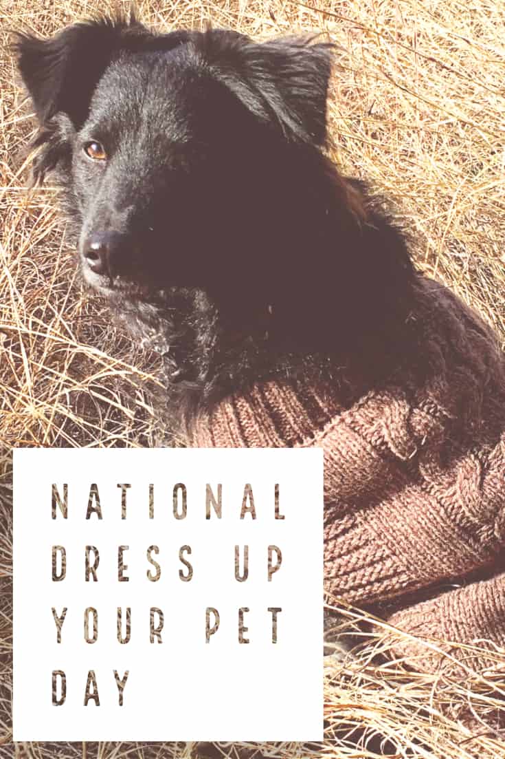 National Dress Up Your Pet Day