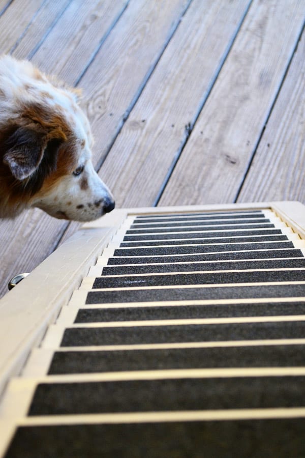 dog ramp made from shutter
