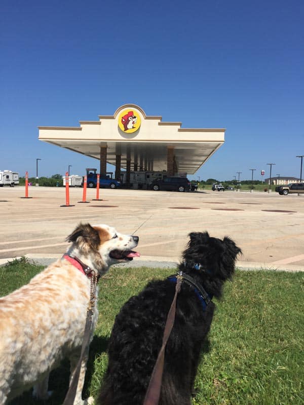 Buc-ee's gas stations