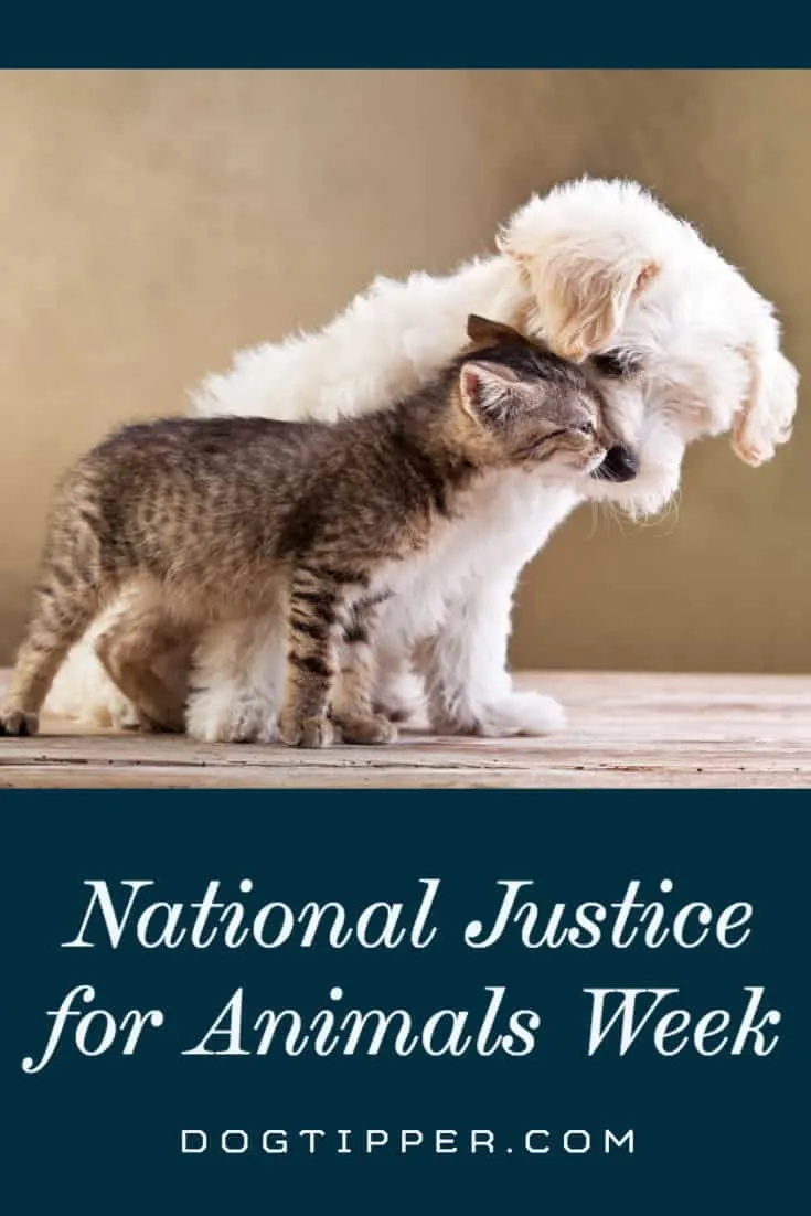 National Justice for Animals Week