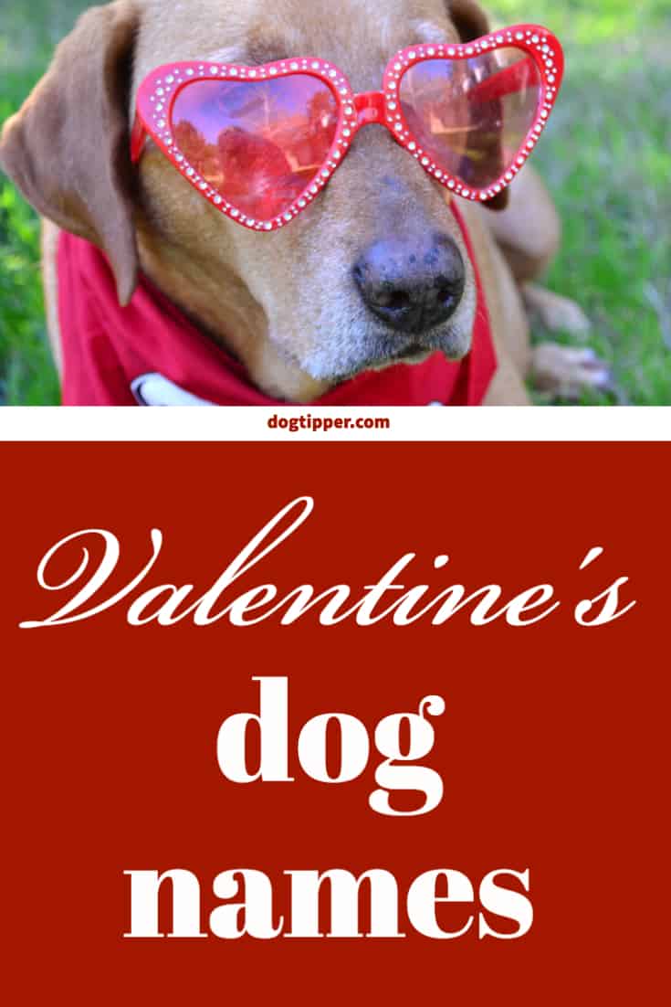 Valentine's dog names