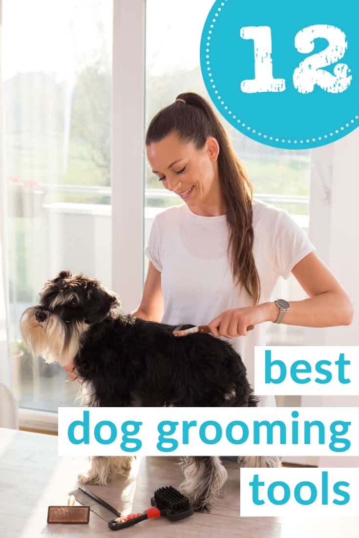 12 best dog grooming tools