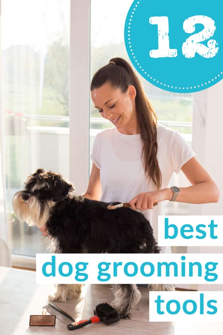 what products do groomers use on dogs