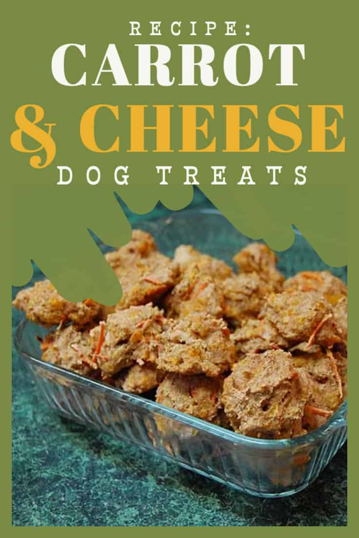 carrot and cheese dog treats recipe