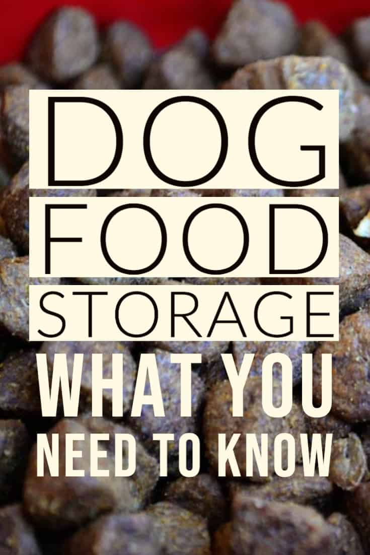 dog food storage: what you need to know