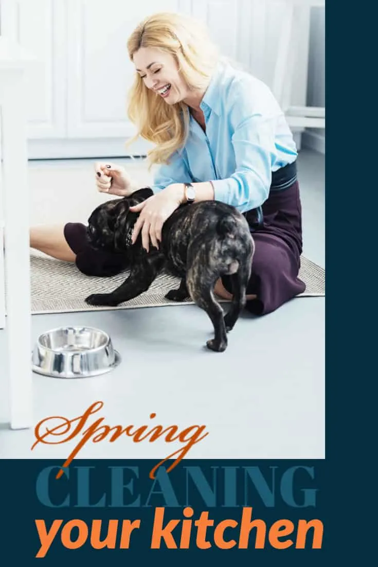 Spring cleaning your kitchen