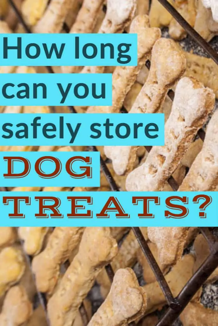 how to safely store dog treats