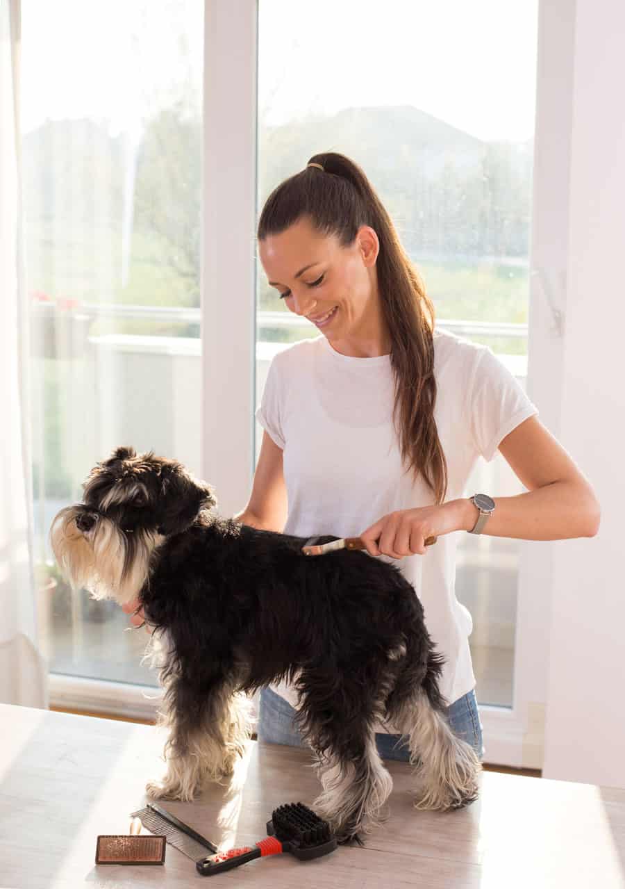 what products do groomers use on dogs