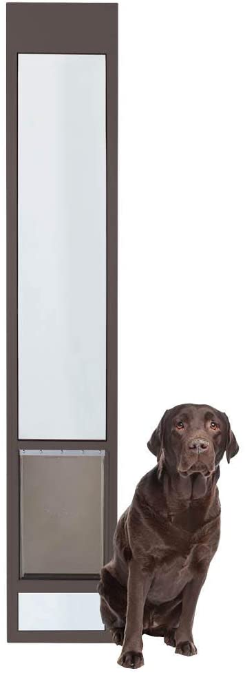 19 Homemade Dog Door Plans You can DIY Easily