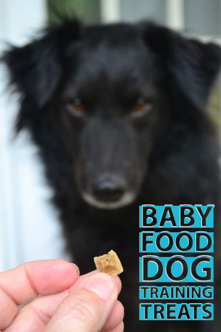 How to make baby food training treats!