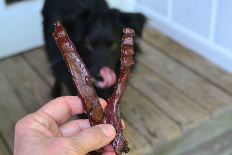Liver Jerky Dog Treats Recipe with Just 1 Ingredient!
