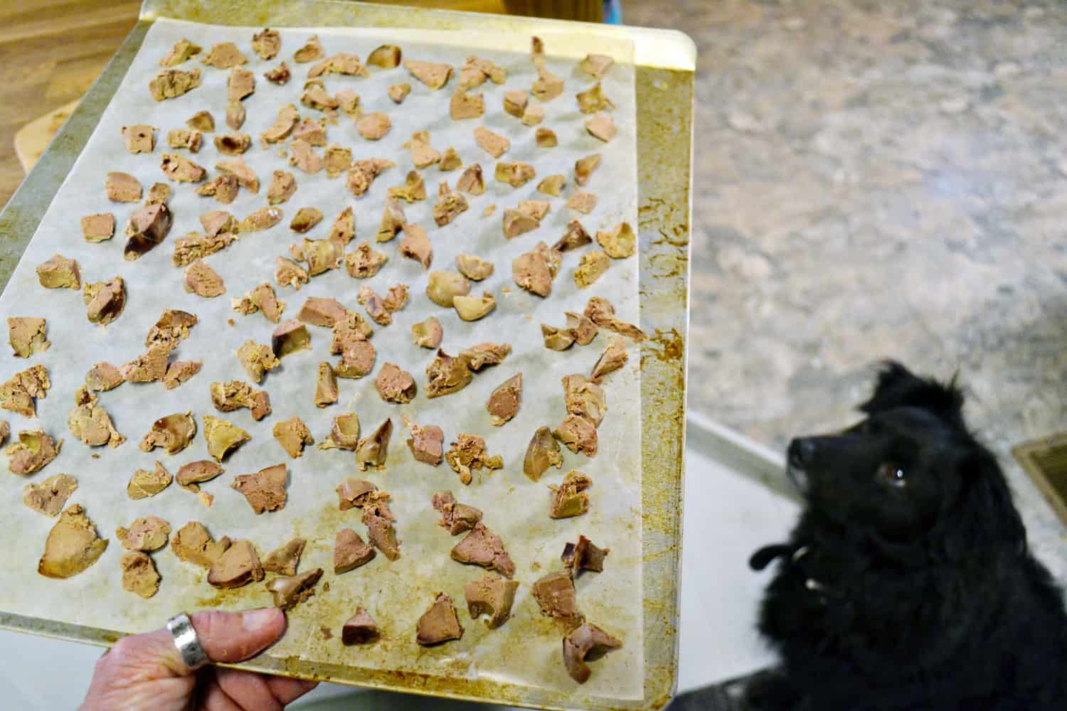 how do you freeze dry chicken for dog treats