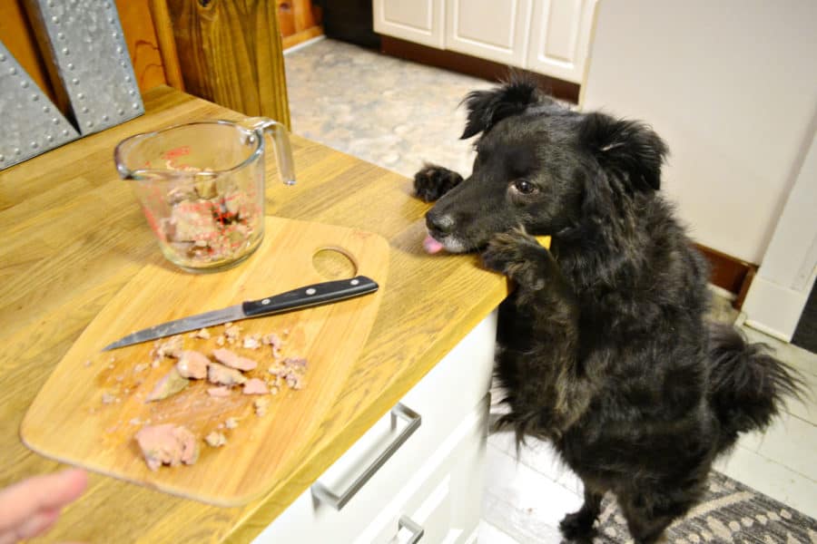 How to Freeze Dry Chicken Liver Dog Treats (2023)
