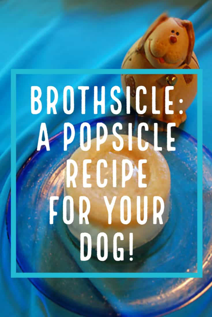 brothsicle popsicle recipe for your dog
