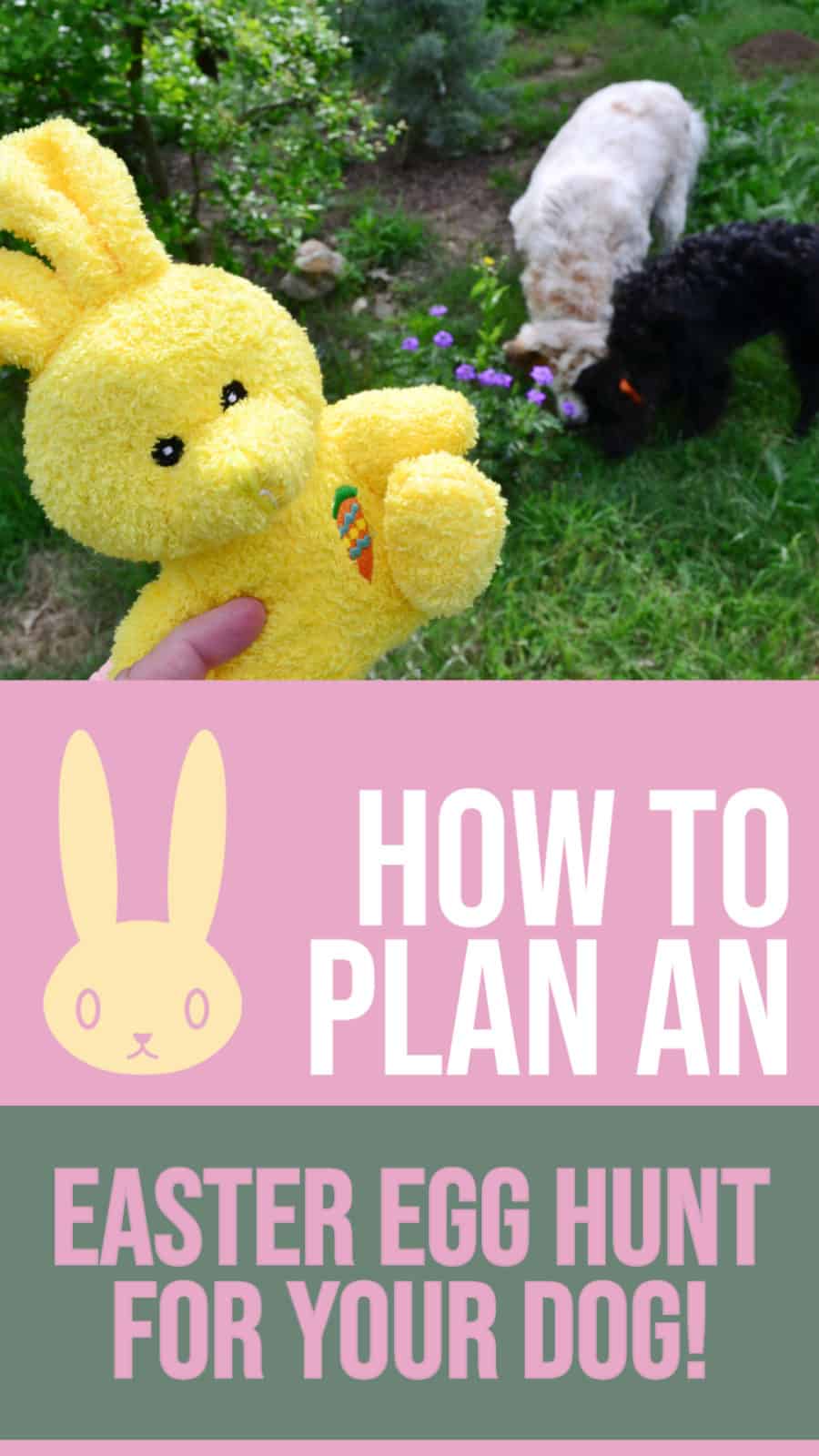 how to plan an easter egg hunt for your dog