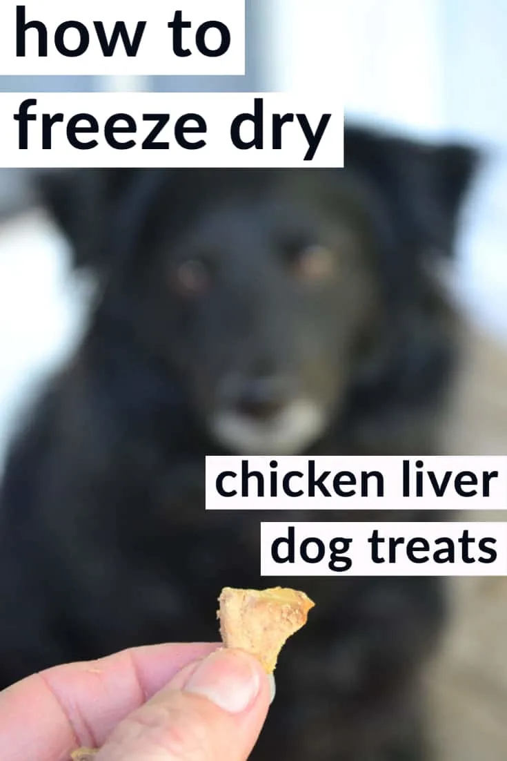 how to freeze dry chicken liver dog treats