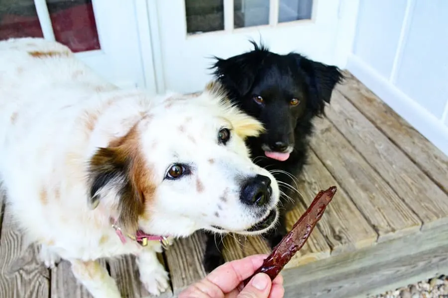 two dogs enjoying Liver Jerky