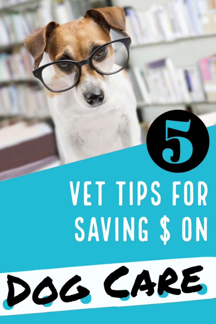 Vet Tips for Saving Money on Your Dog's Care