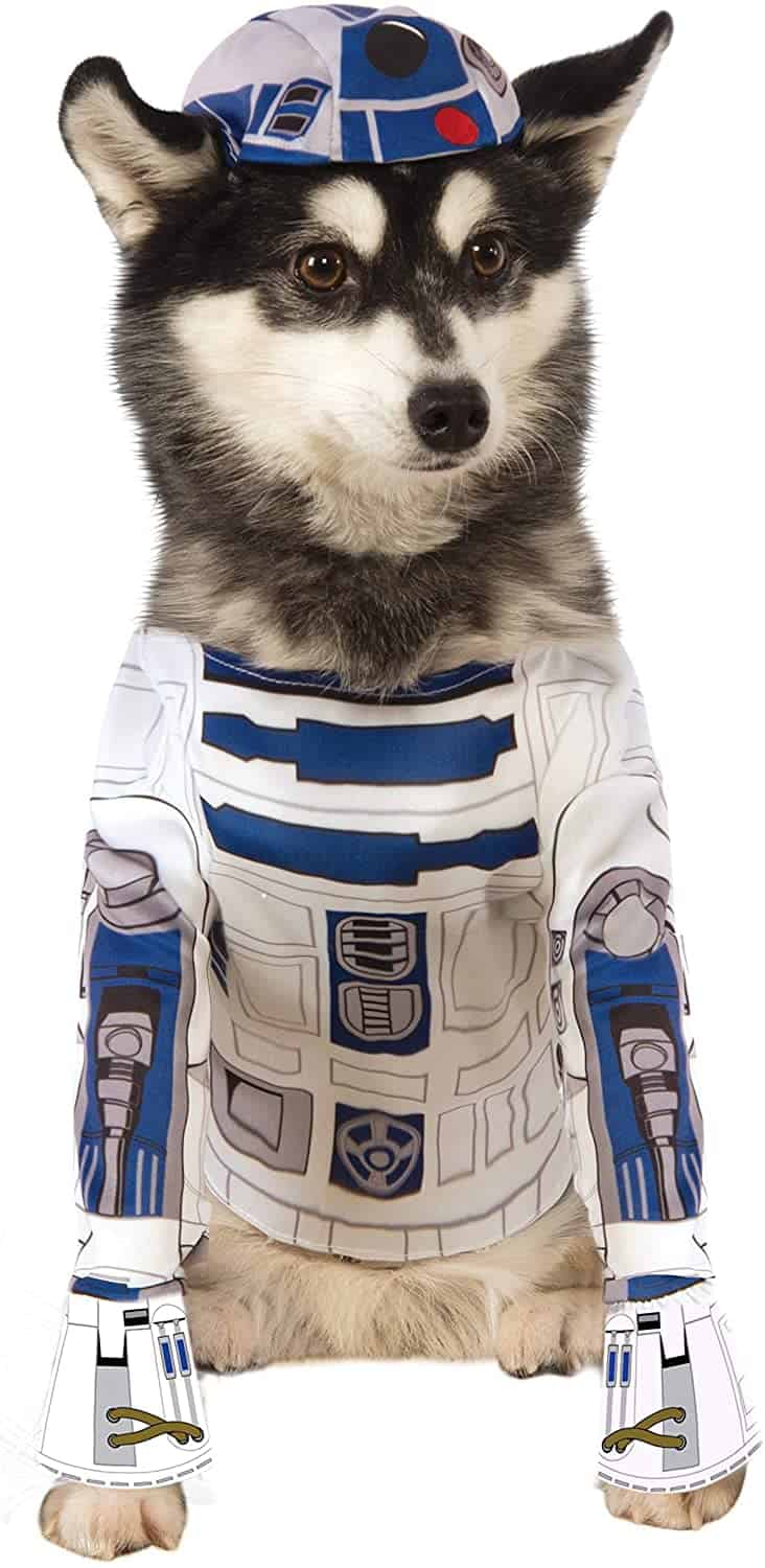R2-D2 dog costume